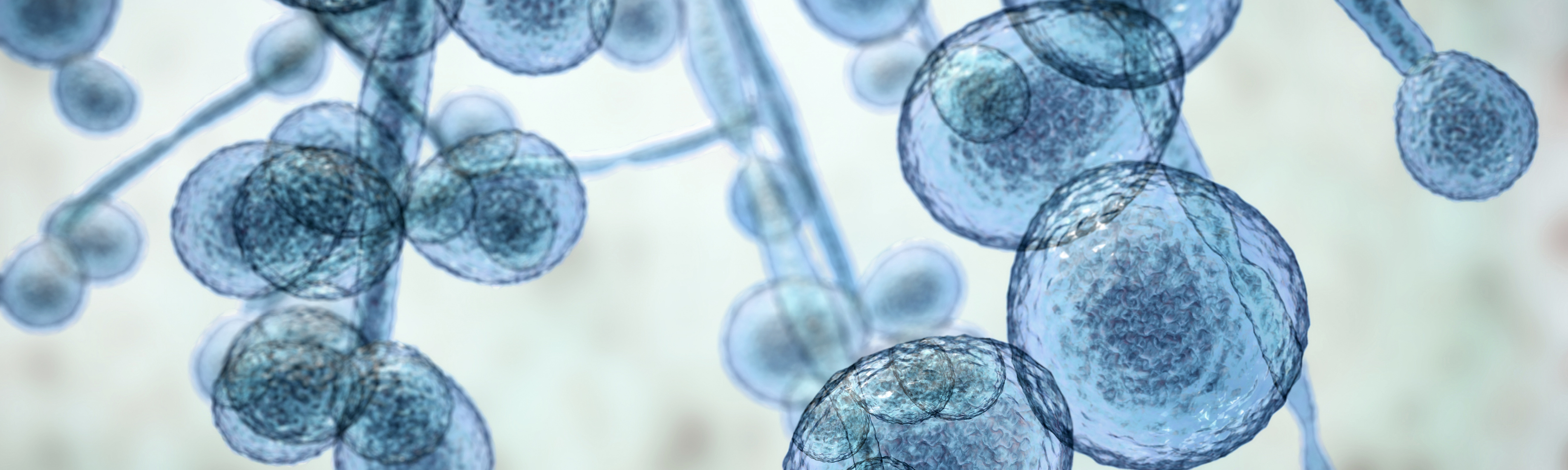 Life sciences