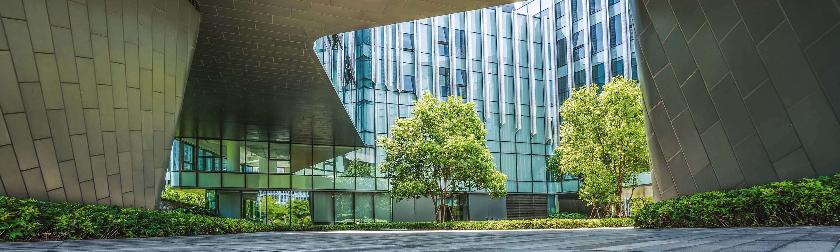 outdoor green space in office courtyard